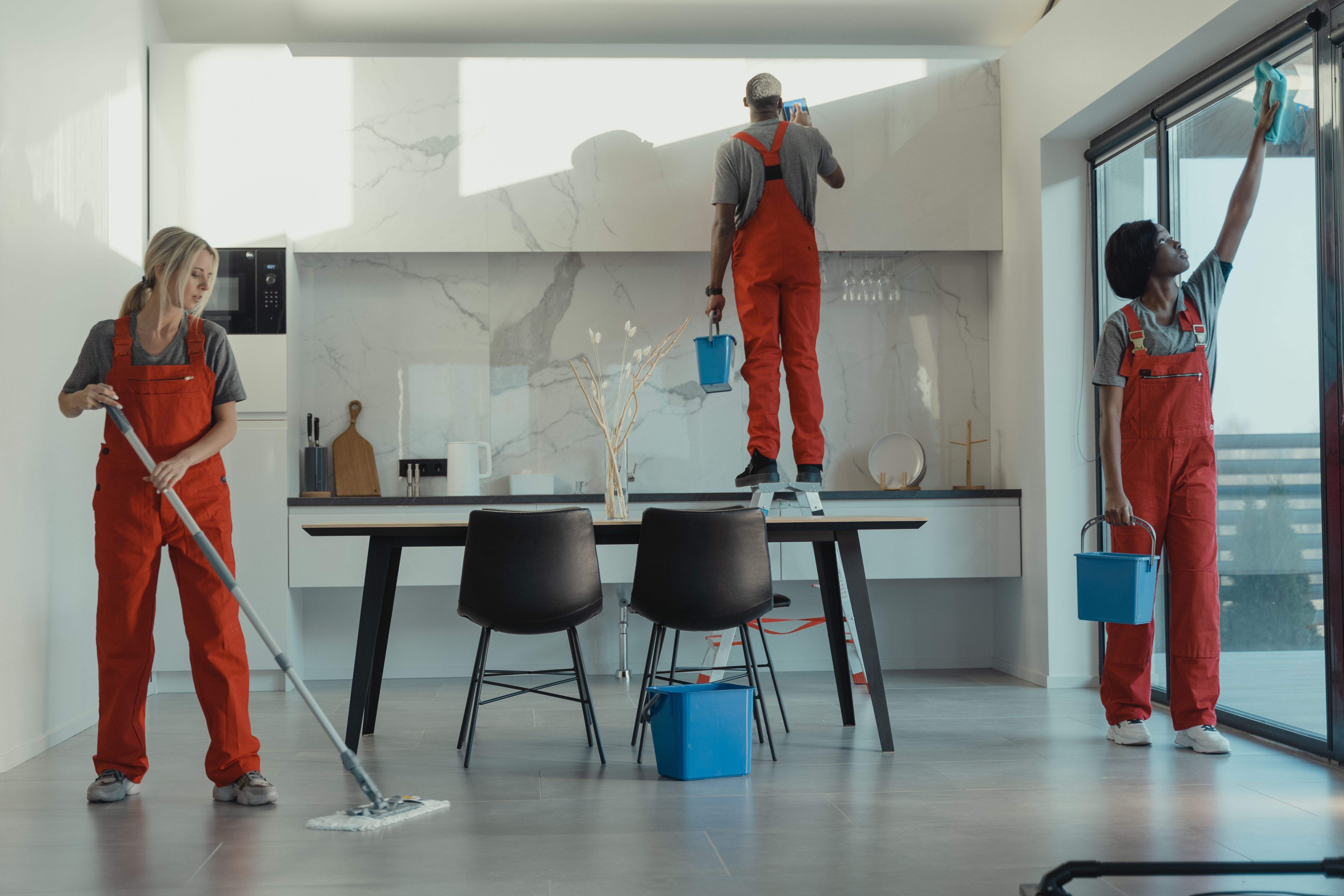 Zespół Alluc Cleaning